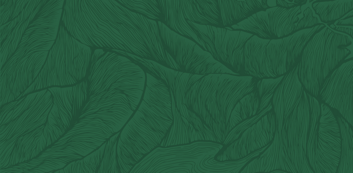 background-placeholder-green