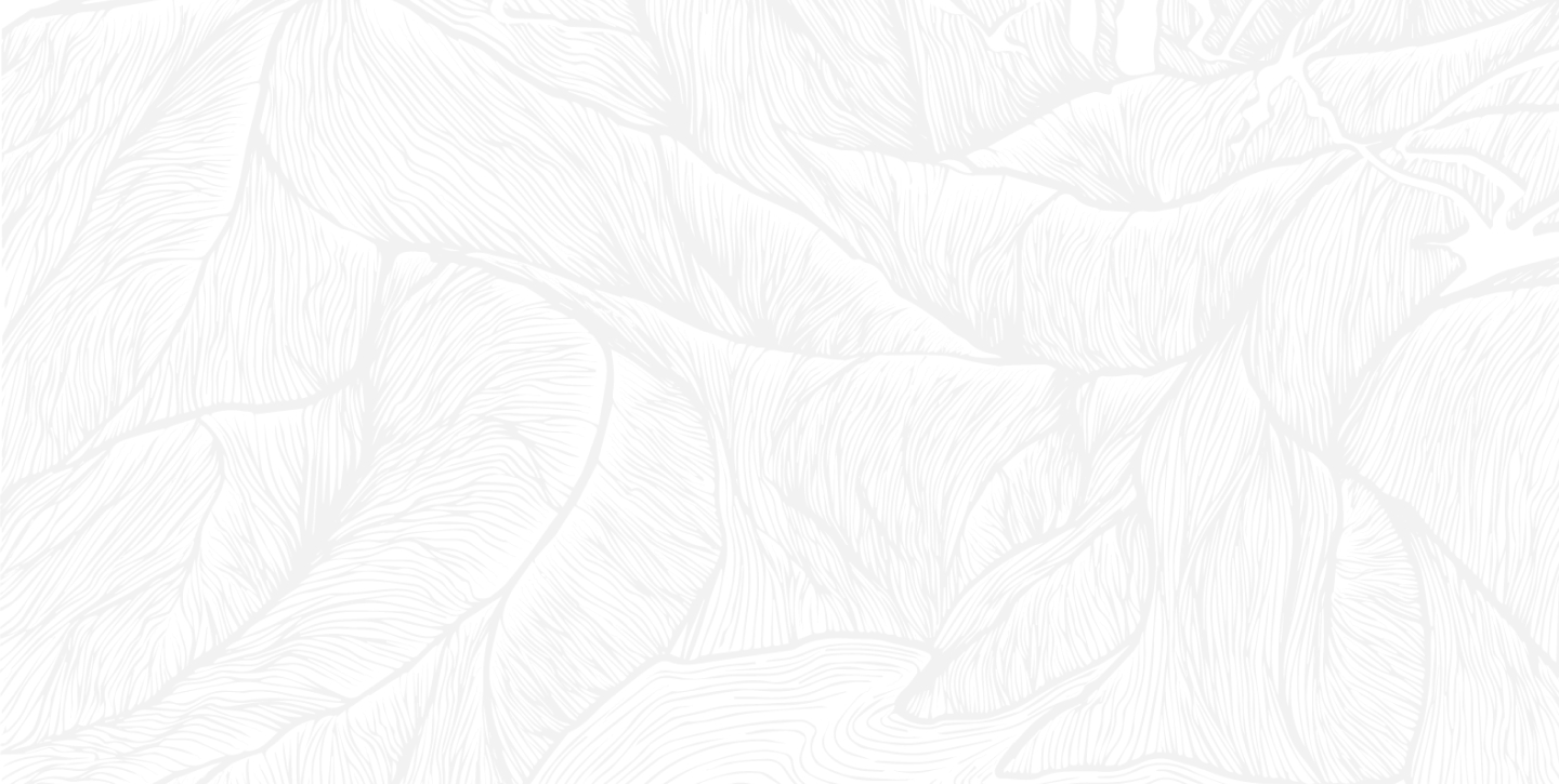 background-placeholder-more-content