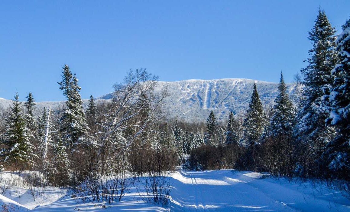 Views of Saddleback from nordic trails