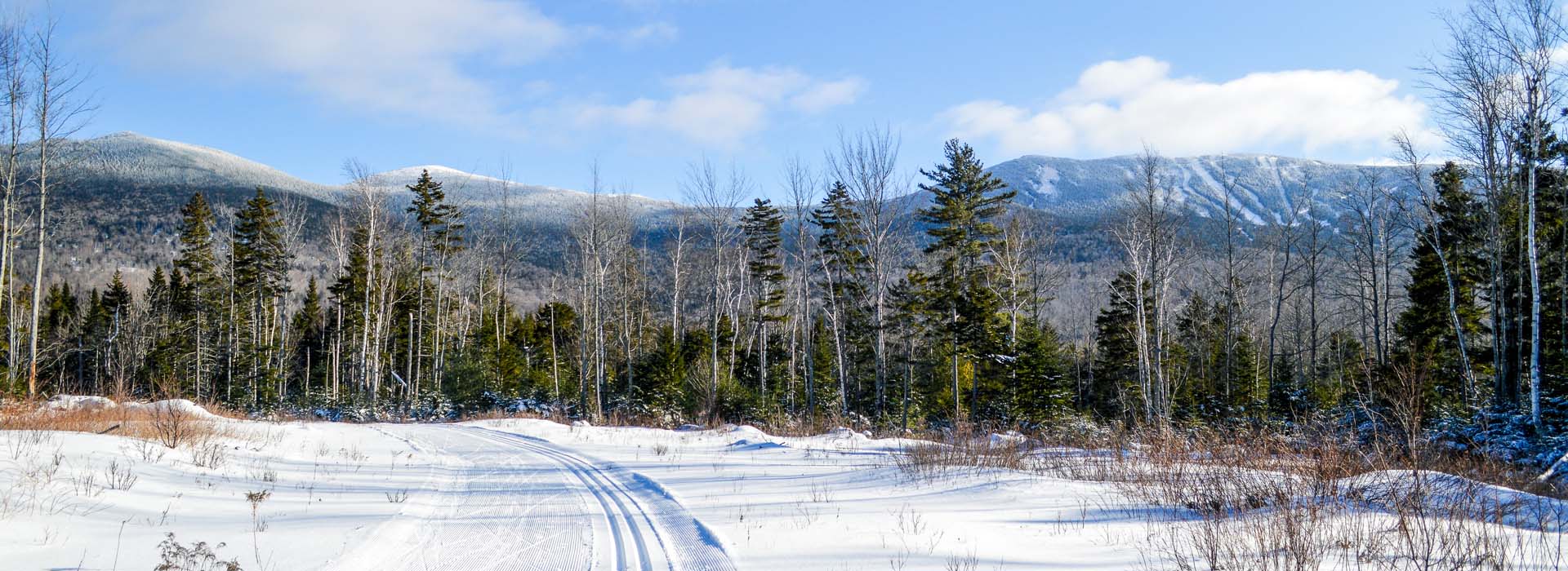 RLTC View of Saddleback