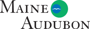 Maine Audubon logo